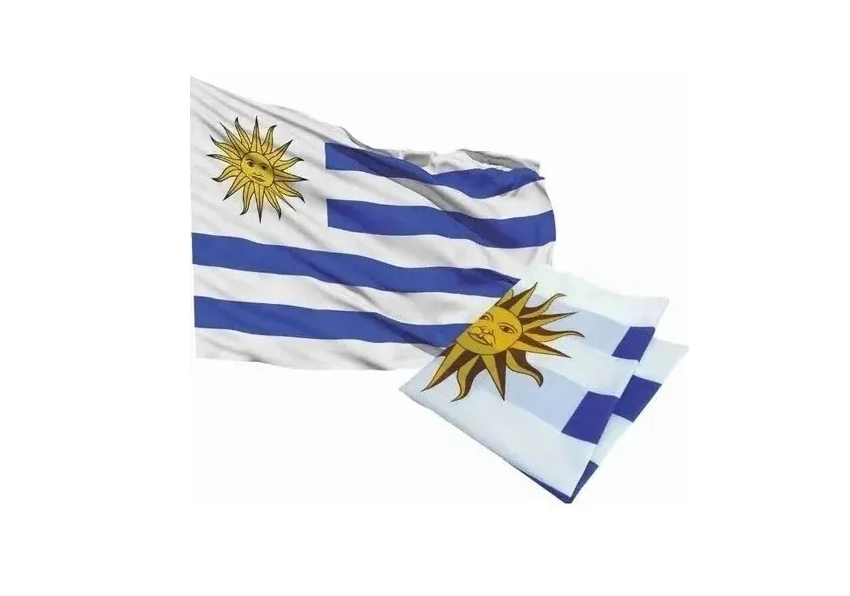 Bandera De Uruguay Oficial 90 X 150 Cm