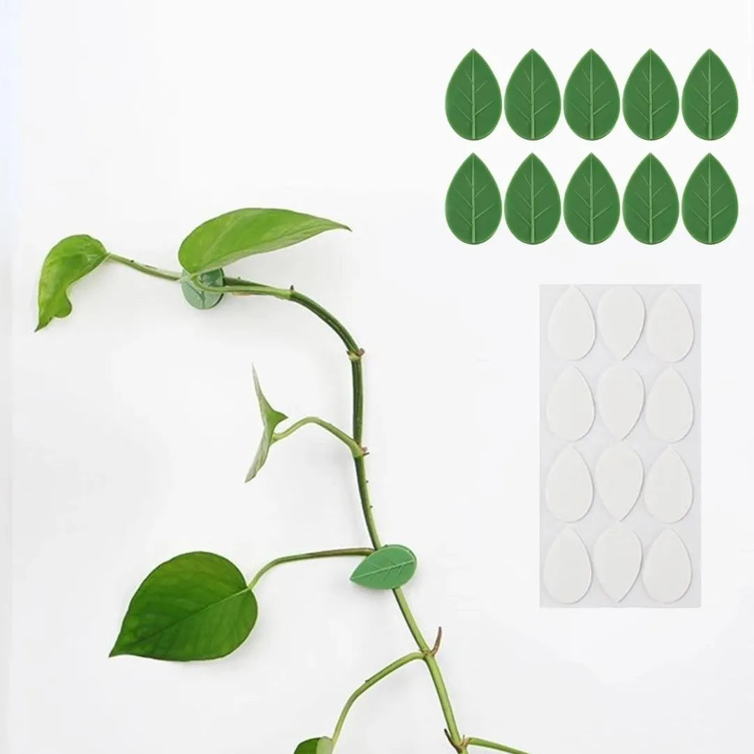 Set 10 Clips Adhesivos Guia Tutor Para Escalada De Plantas