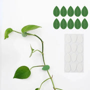 Set 10 Clips Adhesivos Guia Tutor Para Escalada De Plantas