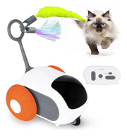 Coche A Control Remoto Para Mascotas, Divertido Y Recargable