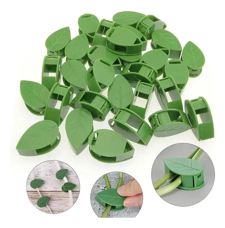 Set 10 Clips Adhesivos Guia Tutor Para Escalada De Plantas