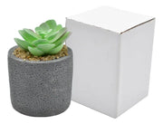 Planta Artificial En Maceta De Cerámica 8x6.5cm