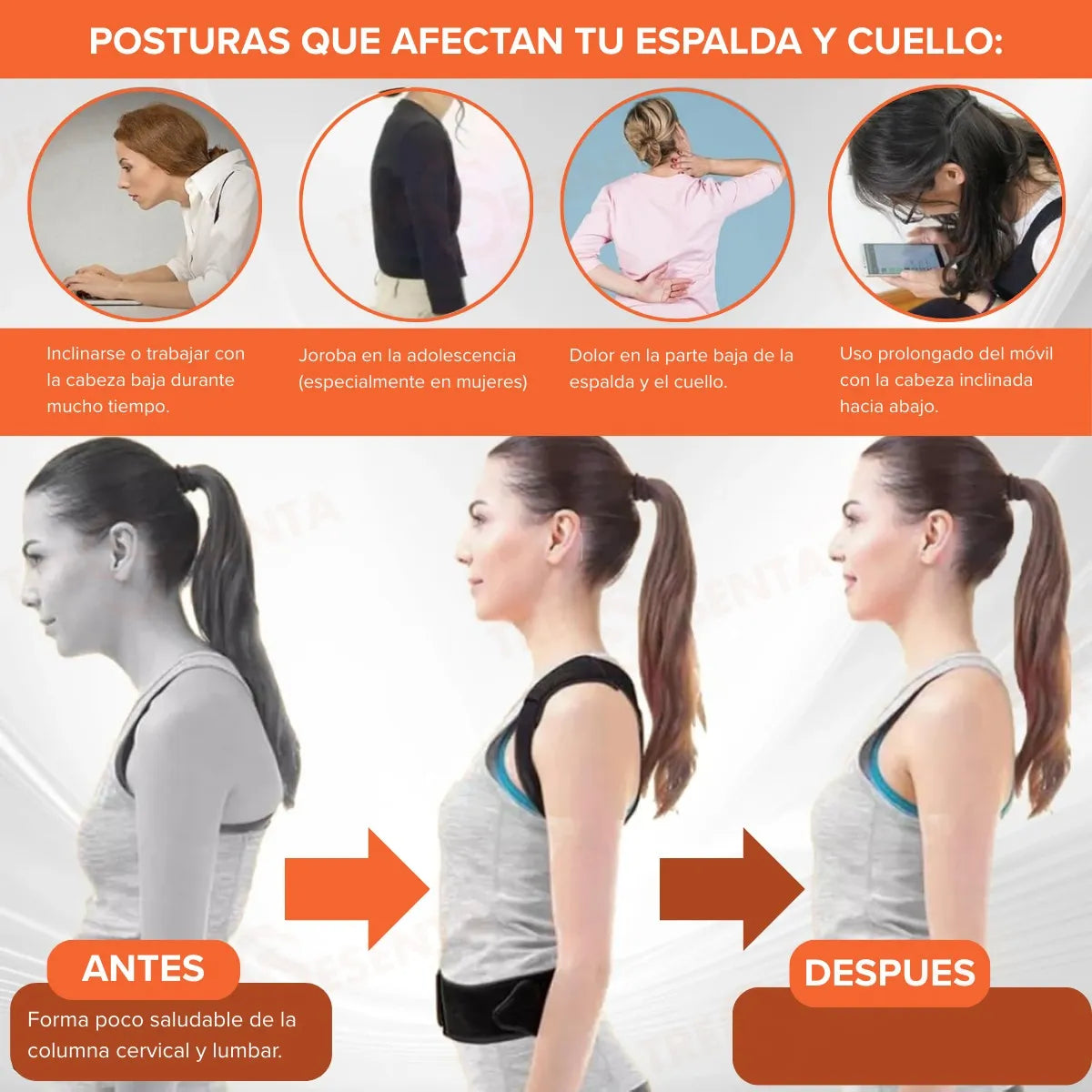 Corrector De Postura Ajustable