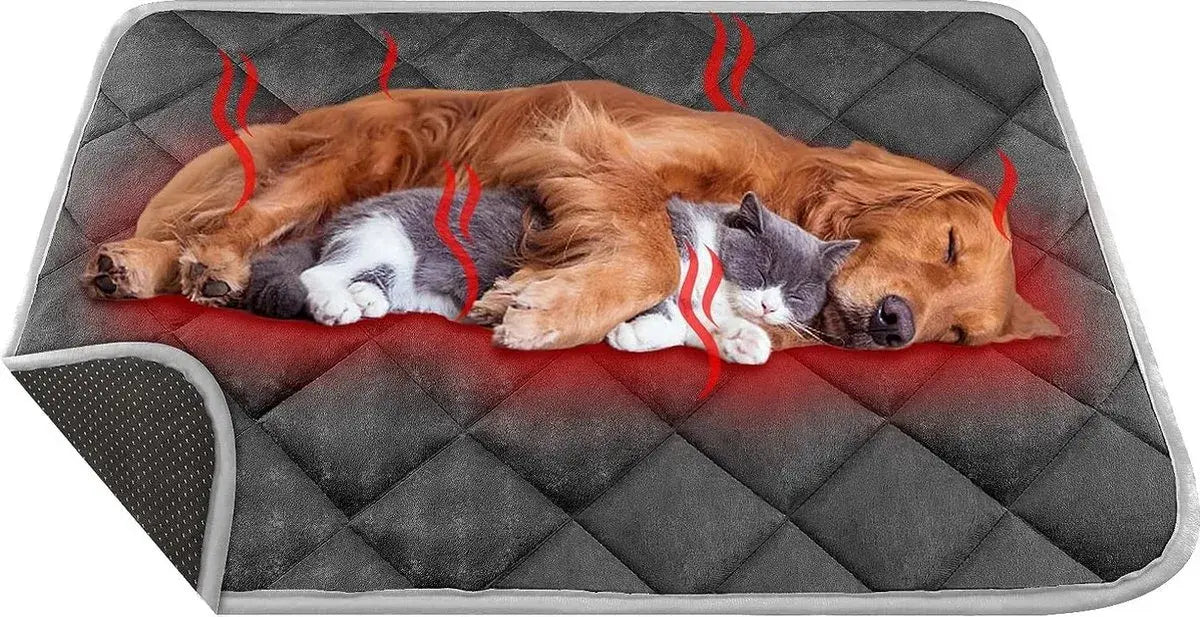 Colchón Autocalentable Para Mascotas Colchoneta 58x88cm