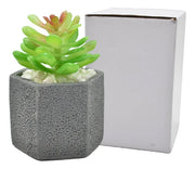 Planta Artificial En Maceta De Cerámica 10x7cm