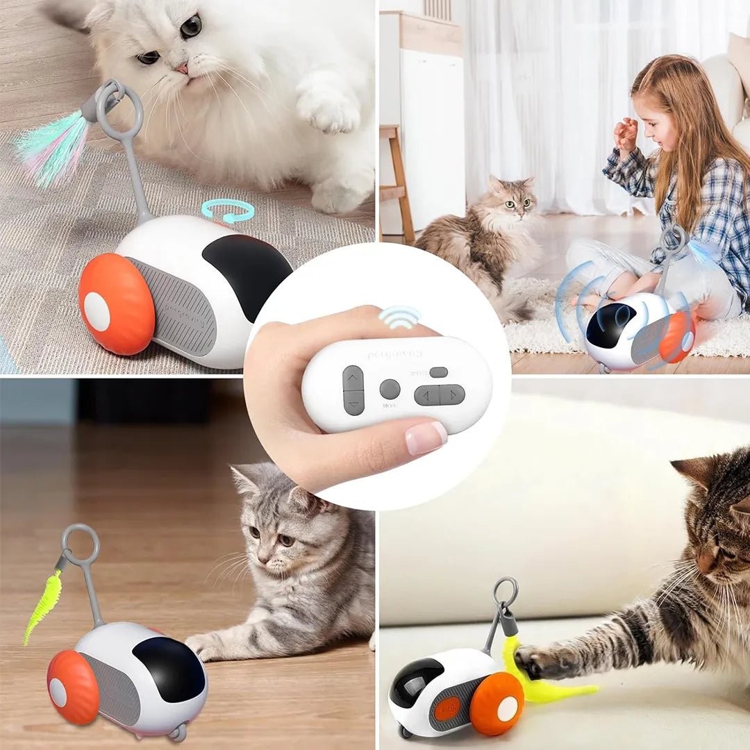Coche A Control Remoto Para Mascotas, Divertido Y Recargable