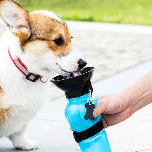 Botella de agua para mascotas