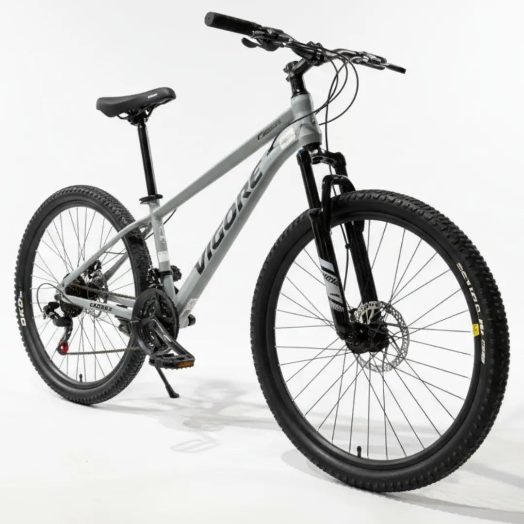 Bicicleta MTB gris claro 2