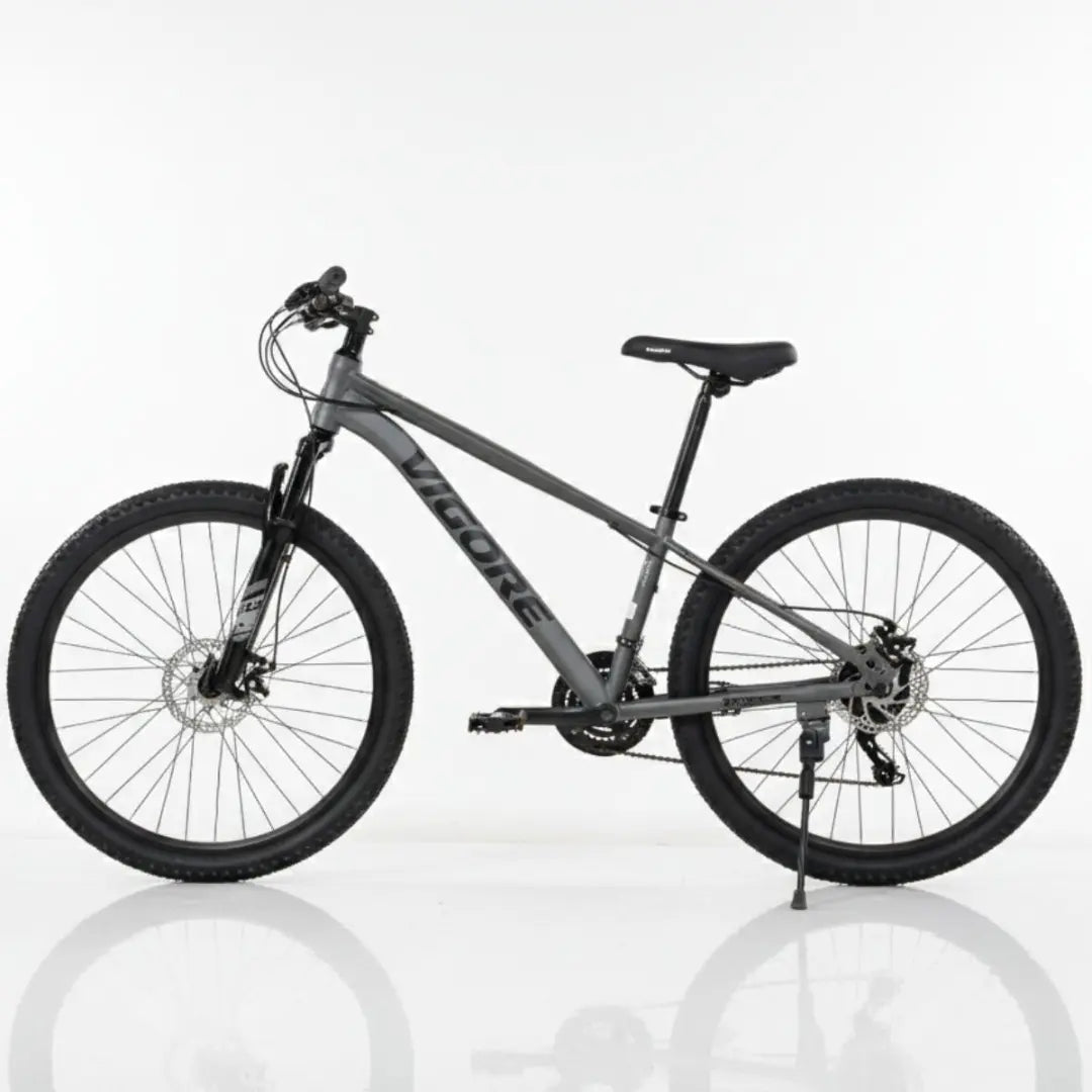 Bicicleta MTB gris oscuro