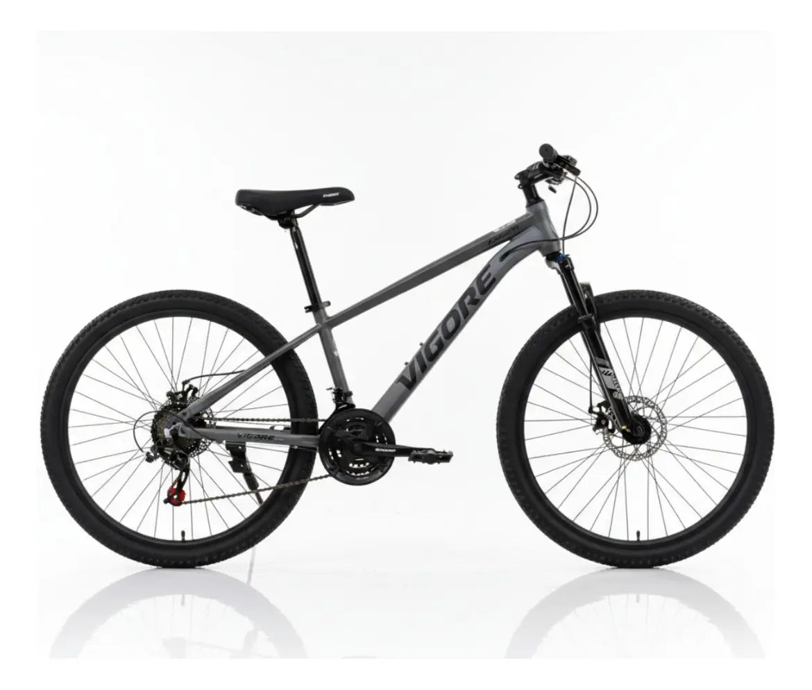Bicicleta MTB gris oscuro 2