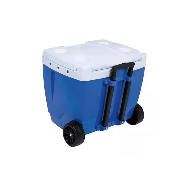 Conservadora 42Lts MOR