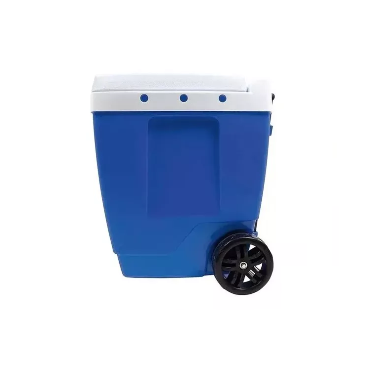 Conservadora 42Lts MOR