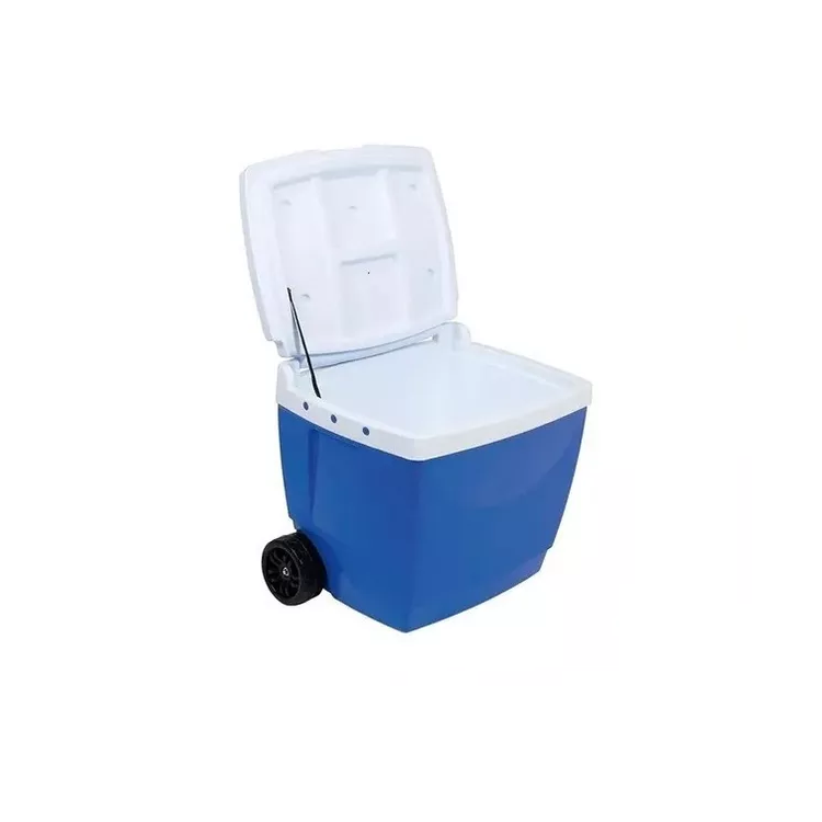 Conservadora 42Lts MOR