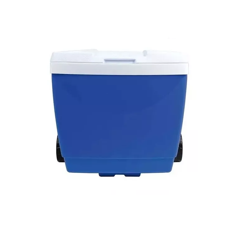 Conservadora 42Lts MOR