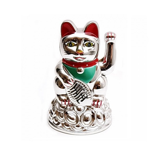 Gato llama dinero