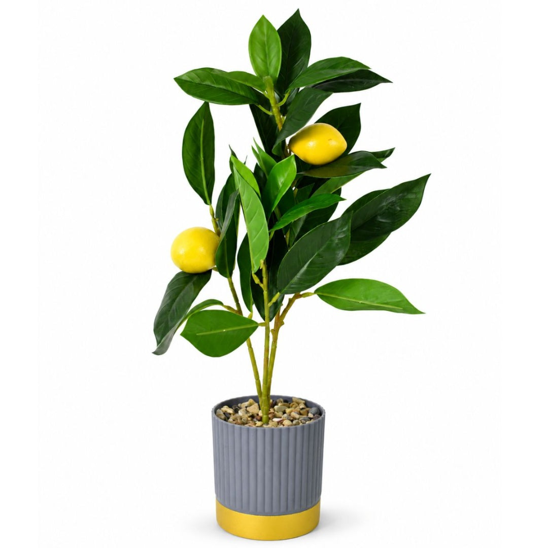 Limonero Artificial Decorativo Con Maceta 44cm