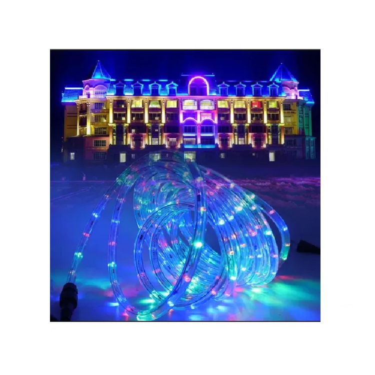 Manguera con luces 5m