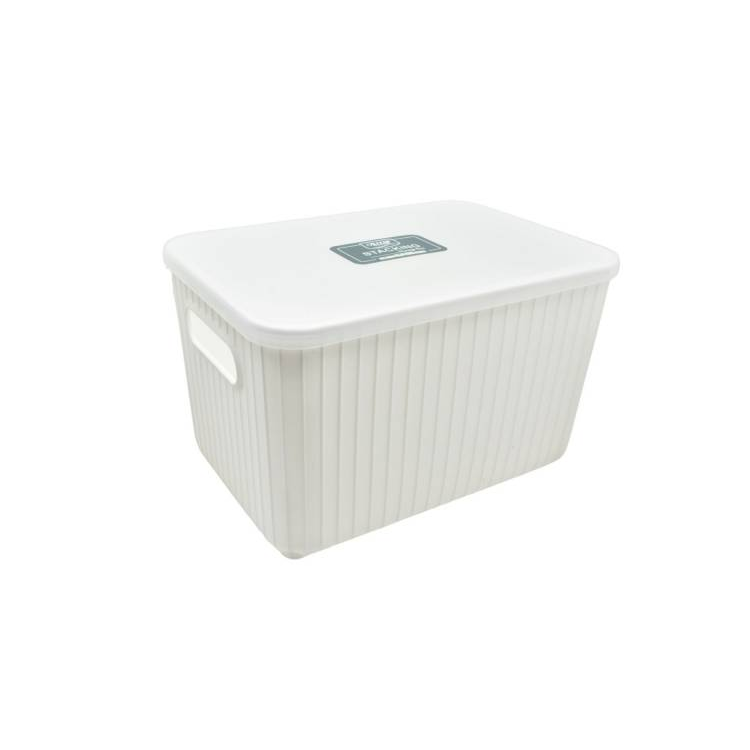 Caja Plástica Con Tapa 26x17.5x16cm
