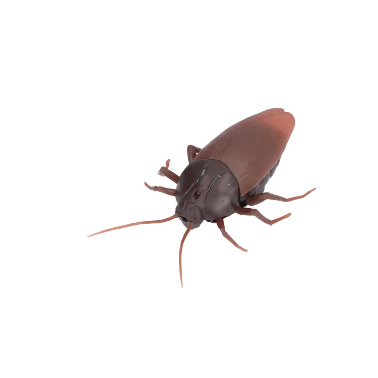 Cucaracha A Control Remoto Auto Juguete Infantil Para Niños