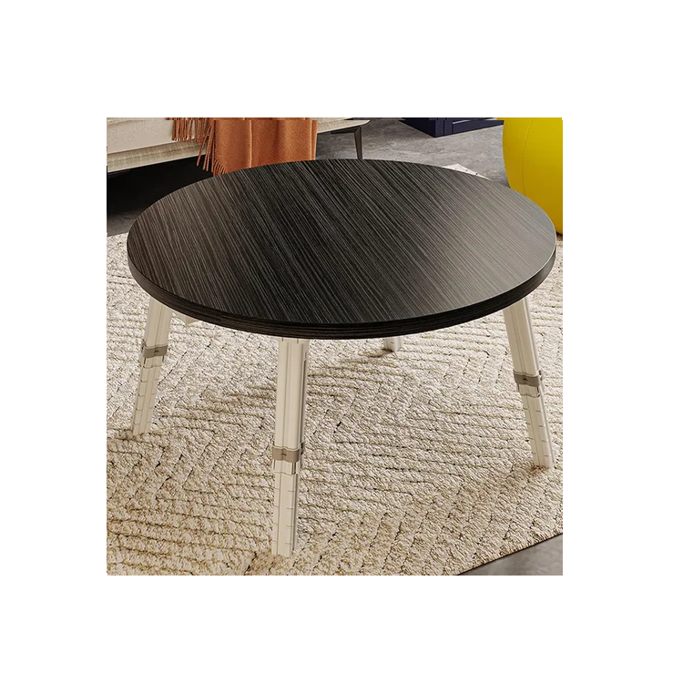 Mesa Plegable Ratona Para Living Jardín Regulable 60cm